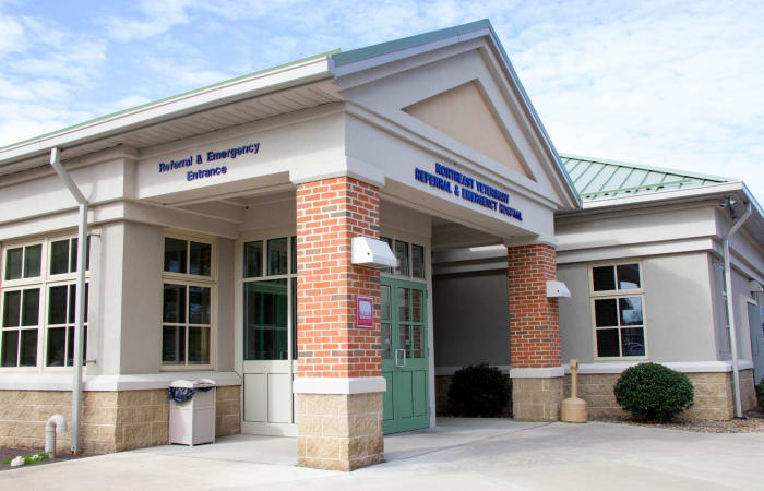 247 animal best sale hospital near me
